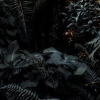 Adventure In The Jungle