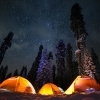 Camping Trip